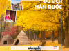 DU LỊCH HÀN QUỐC ĐÓN THU VÀNG: SEOUL - JEJU - NAMI - EVERLAND - T3/2023 (BAY VIETJET AIR)