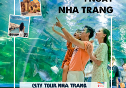 NT-07: City Tour 1⁄2 ngày: Hòn Chồng Nhà Thờ – Tháp Bà – Viện Hải Dương Học