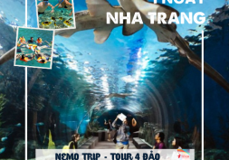 NT-01: NEMO TRIP - TOUR DU NGOẠN VỊNH NHA TRANG BƠI NGẮM SAN HÔ – TIỆC RƯỢU NỔI – SỎI PARADISE