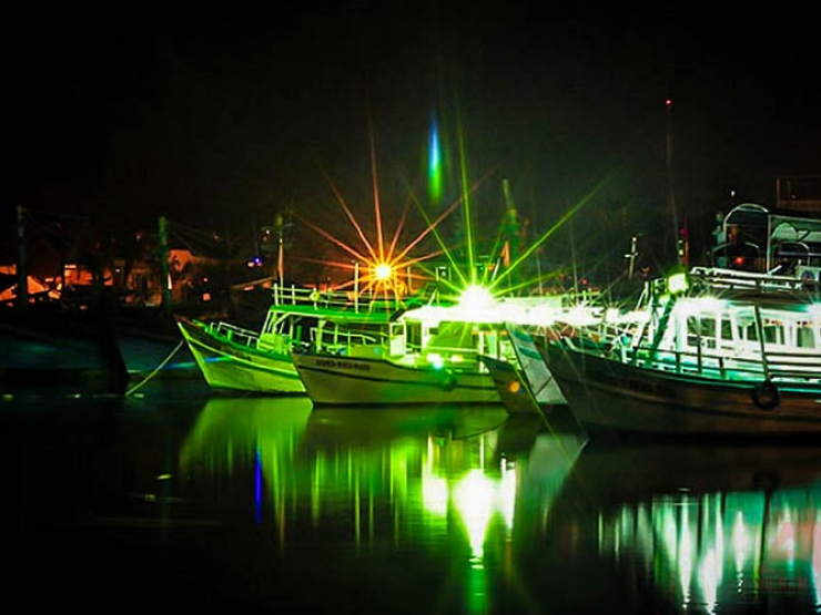 NT-08: Tour câu mực đêm